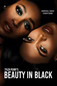 Download Beauty in Black (Season 1-2) Dual Audio {Hindi-English} WeB-DL 480p [180MB] || 720p [310MB] || 1080p [1.1GB]