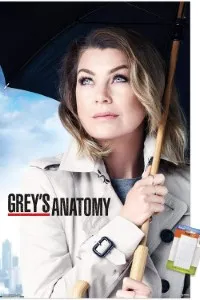Download Grey’s Anatomy (Season 1-22) [S22E02 Added] {English With Subtitles} 720p Bluray [280MB] || 1080p [1GB]